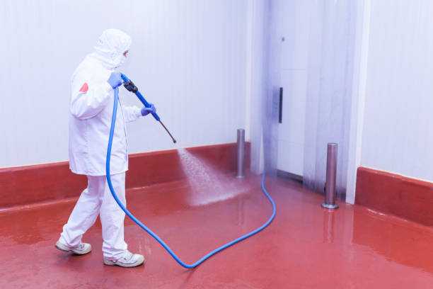 Paint Preparation in Royal Palm Beach, FL